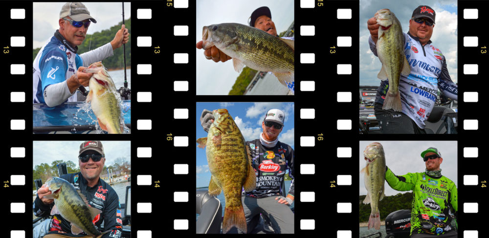 What the Pros are Saying: Which New Anglers Might Excel on the