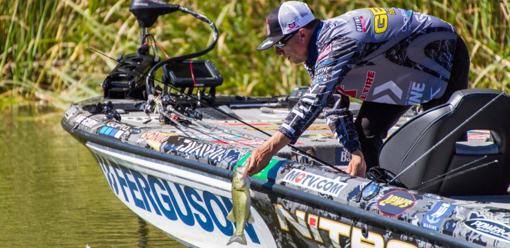 Image for MLF EMBEDDED: Squarebill is King in Challenge Cup Elimination Round