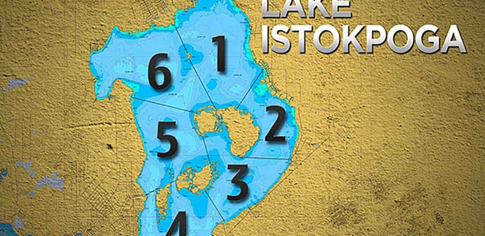 Image for 2013 Challenge Cup Lake Istokpoga Zones