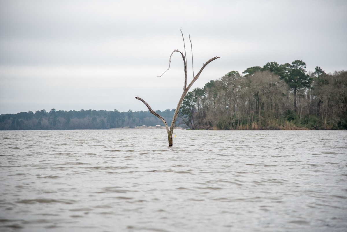 Major League Fishing Lake Conroe - GALLERY: Lake Conroe from the Air - Major League Fishing / Live stream, you'll notice two things: