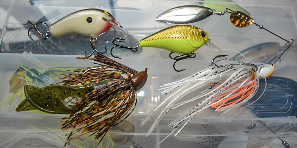 Image for Local Knowledge: Marty Stone Shares Three Must-have Baits for Stage Three﻿