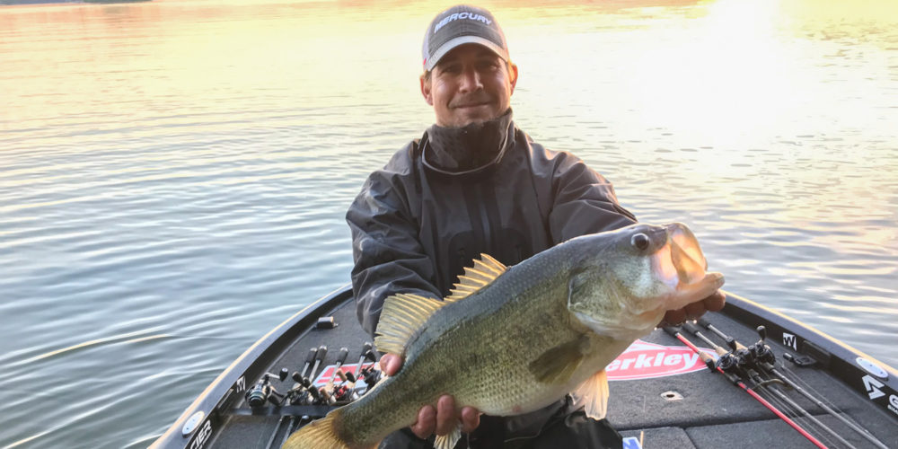 Image for GALLERY: Enormous Bass of Elimination Round 1