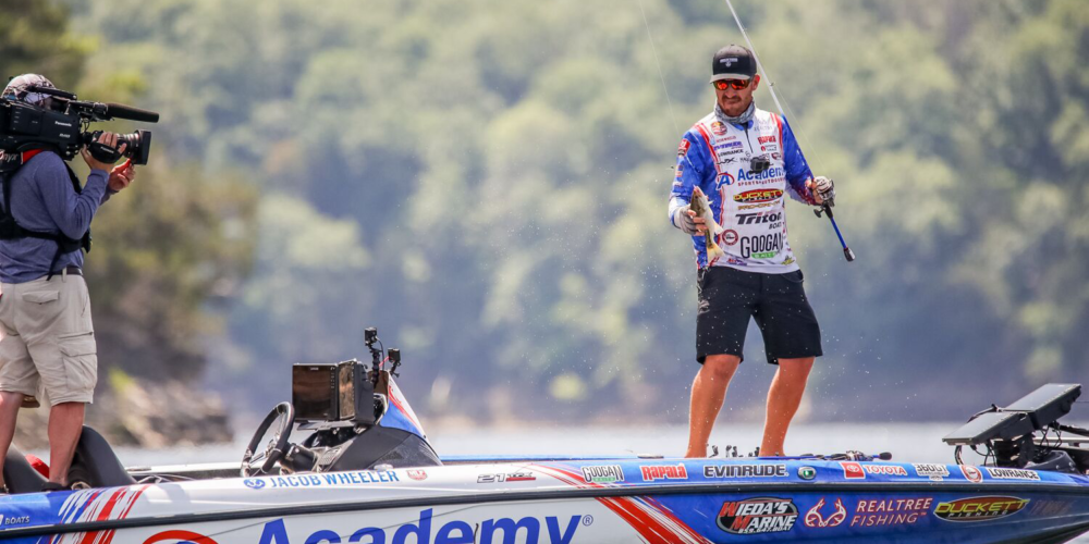 Image for 2019 Bass Pro Tour Season by the Numbers