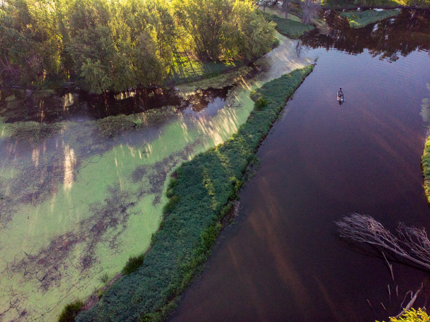 GALLERY: Birge Surges on Mississippi - Major League Fishing