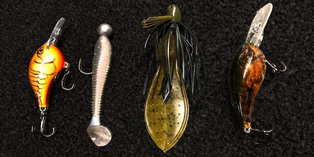 Bradley Roy's Three Must-Have Baits for Winter Success - Major