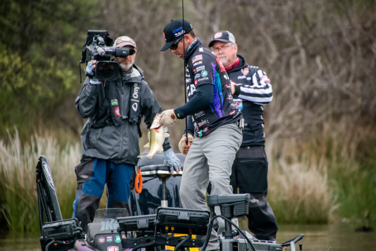 Image for MLF Sets Viewership Records After Three Events