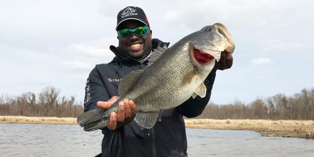 Probass Networks: Culling Bass and Keeping Bass Alive
