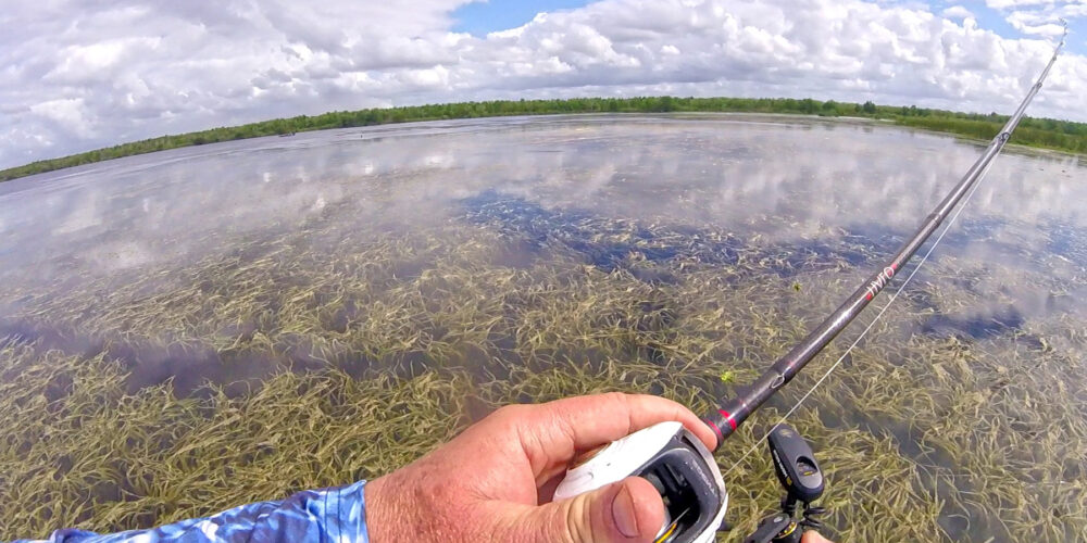 Image for Follow Kenney’s Keys to Locate, Catch Bass in the Grass