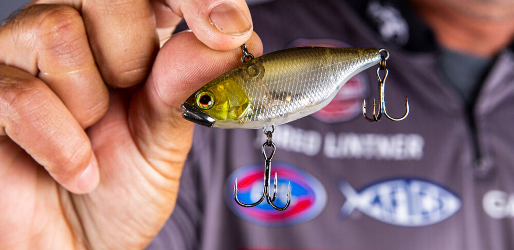 5 Proven Chatterbait Trailers That'll Catch Bass All Year - Wild