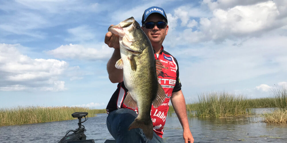 CLIFF PACE: Why I Upsize My Baits & Find Visible Targets for Bites in the  Fall - Major League Fishing