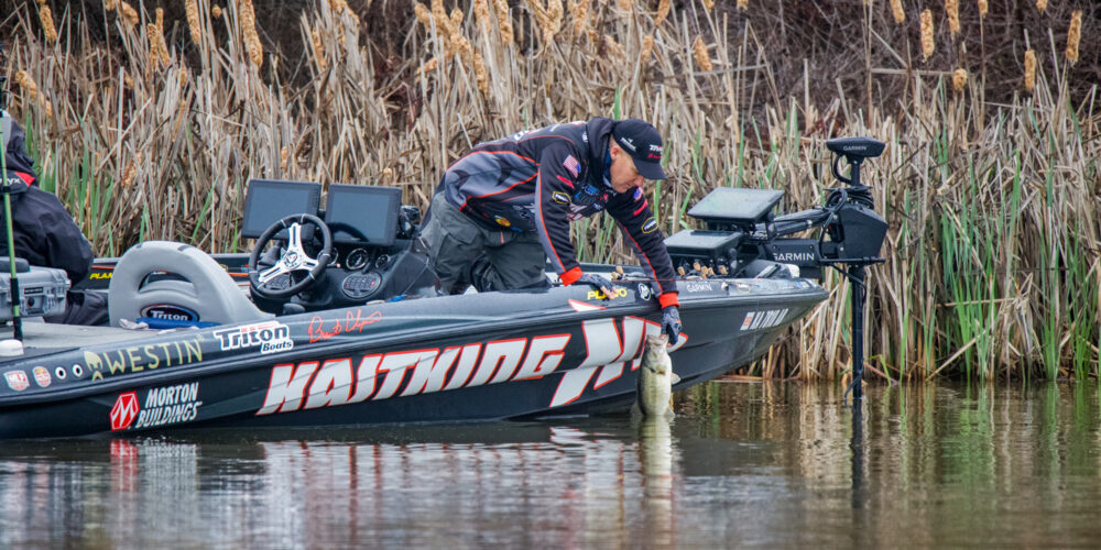 Image for Prespawn Preparation Can’t Start Soon Enough for Brent Chapman