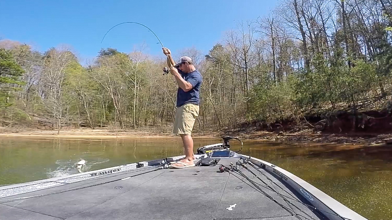 Cory Johnston Bed Fishing on Hartwell - Major League Fishing