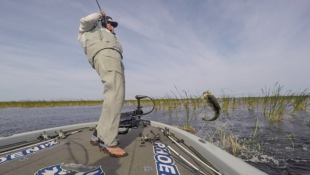 Winning Day with Taylor Ashley - Major League Fishing