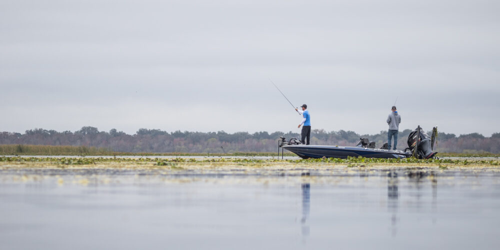 Image for Top 10 Patterns from Lake Toho