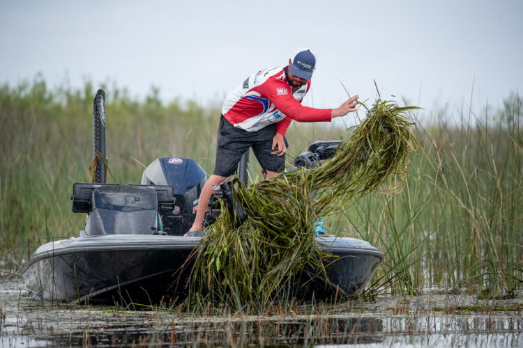 Image for GALLERY: Tackle Warehouse Pro Circuit, Lake Okeechobee, Day 3 Afternoon