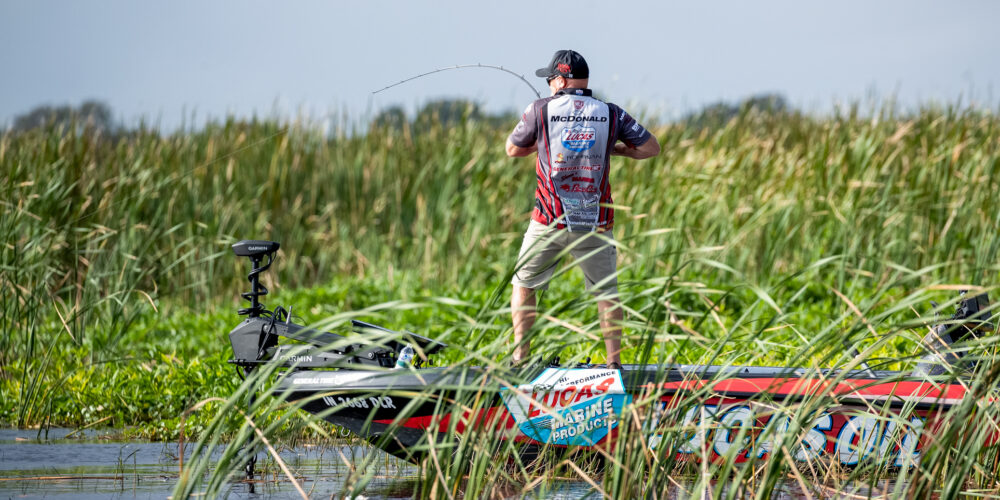 Image for Top 5 Patterns from Lake Okeechobee – Day 3