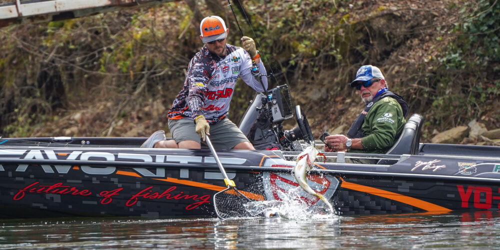 Image for Top 5 Patterns from Smith Lake – Day 3