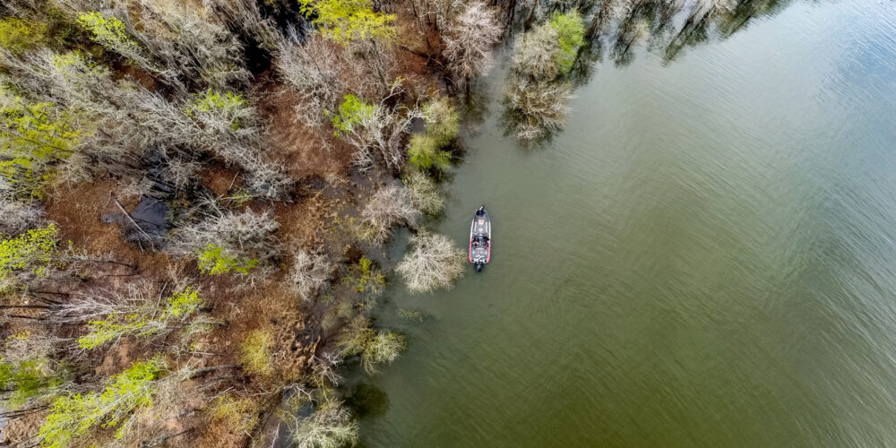 Image for GALLERY: Bird’s-Eye View of Sam Rayburn