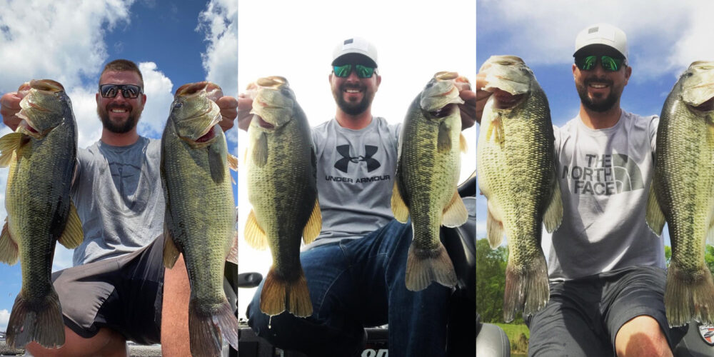 Image for Expect Prespawn Largemouth in Northeast Division Opener on the Chesapeake Bay