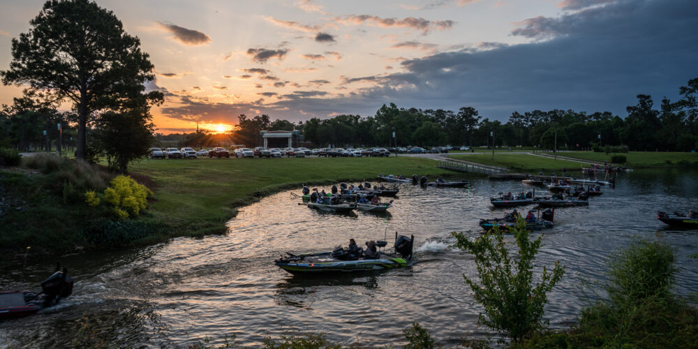 Image for Shad Spawn Could be Key Player on Lake Seminole in Southern Division Finale