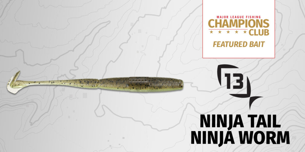 Image for Featured Bait: 13 Fishing Ninja Tail Ninja Worm