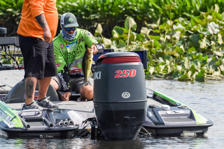 Image for GALLERY: Tackle Warehouse Pro Circuit, Potomac River, Day 4 Afternoon