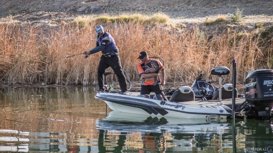 Image for Top 10 Patterns from Lake Havasu