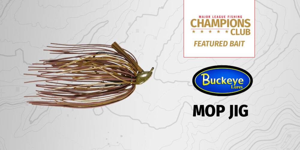 Image for Featured Bait: Buckeye Lures Mop Jig