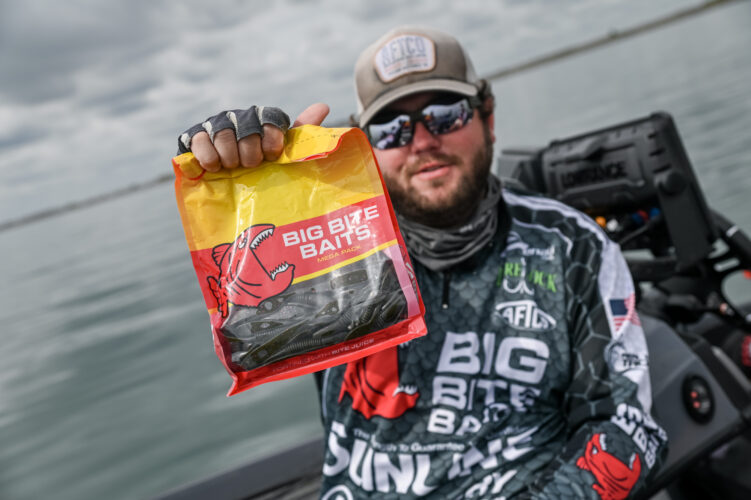 Top 10 Baits and Patterns for Stage Seven St. Clair - Major League