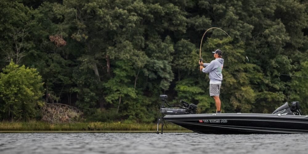 Image for Top 5 Patterns from the Potomac River – Day 2