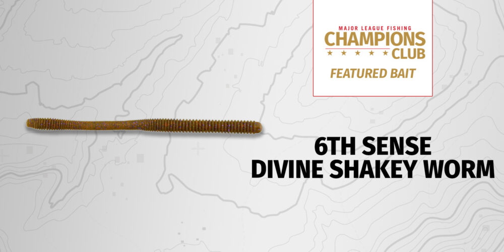Image for Featured Bait: 6th Sense Divine Shakey Worm