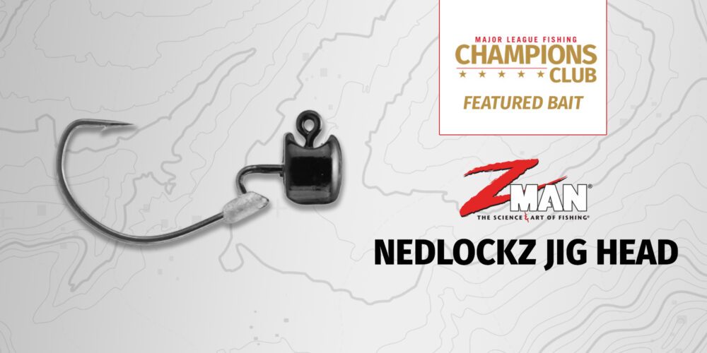 Image for Featured Bait: Z-Man Nedlockz EWG Jig Head