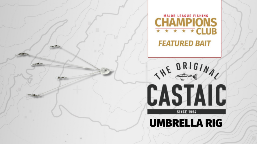 Image for Featured Bait: Castaic Umbrella Rig