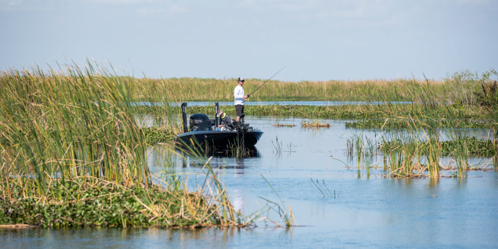 Image for Top 5 Patterns from Lake Okeechobee – Day 1