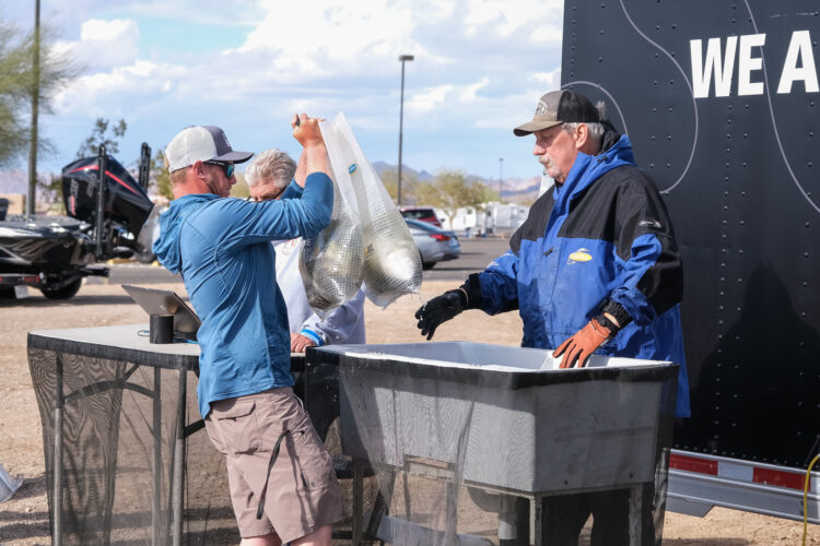 Image for GALLERY: Big Fish Show Up on Day 2 at Havasu