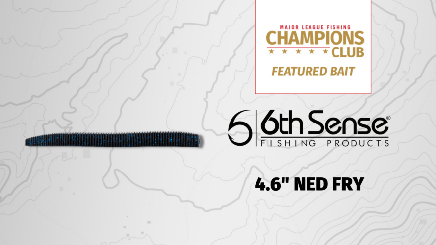 Image for Featured Bait: 6th Sense 4.6″ Ned Fry