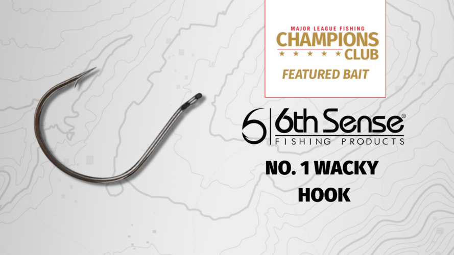 Image for Featured Bait: 6th Sense Wacky Hook