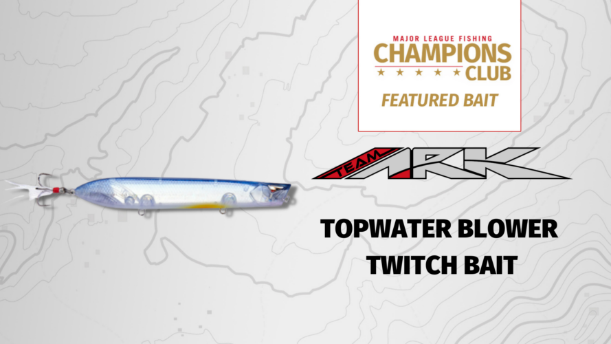 Image for Featured Bait: Ark Topwater Blower Twitch Bait