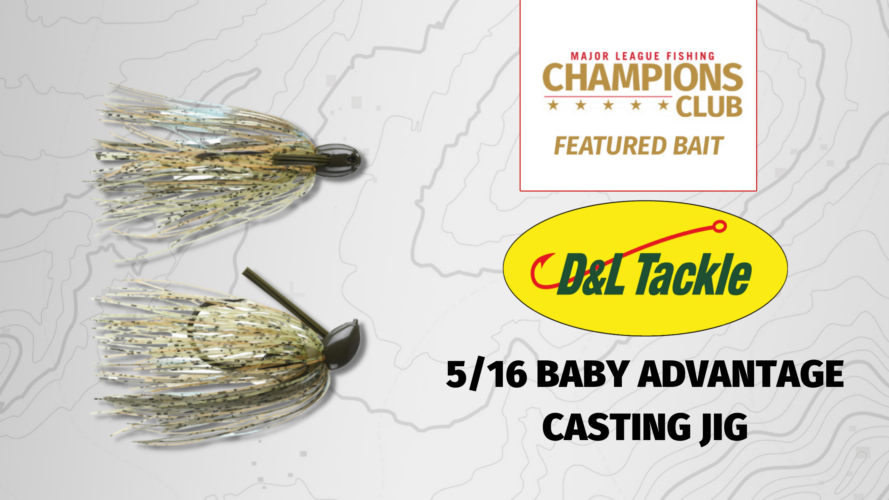 Image for Featured Bait:  D&L Tackle 5/16 Baby Advantage Casting Jig