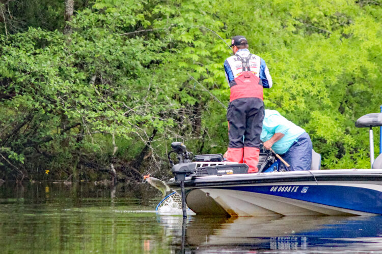 Image for GALLERY: The Rain Is Falling and the Bass Are Biting on Chickamauga