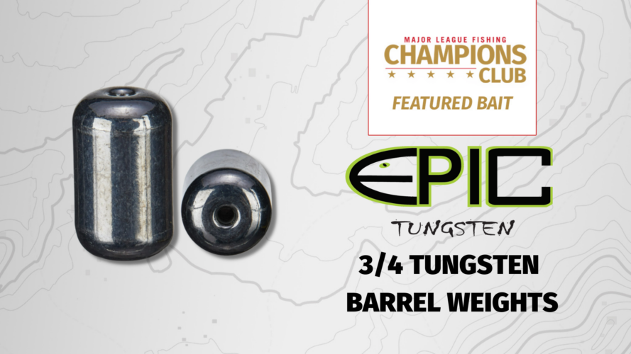 Image for Featured Bait:  Epic Baits Tungsten Barrel Weights