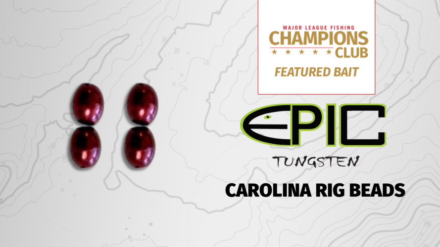 Image for Featured Bait:  Epic Baits Tungsten Bead