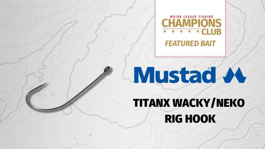 Image for Featured Bait: Mustad TitanX Wacky/Neko Rig Hook