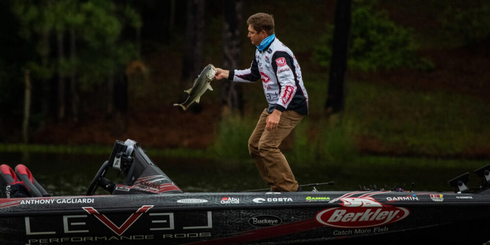 Image for Lake Murray Should be ‘Full of 3- to 5-Pound Fish’ for 2023 Bass Pro Tour Stage Three
