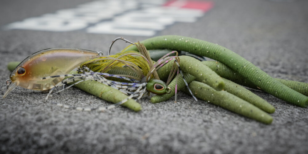 Image for Top 10 baits from Clarks Hill