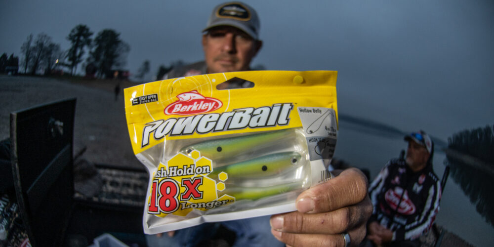Image for TOP 10 BAITS: How the best of Stage Two caught ‘em on Douglas, Cherokee lakes