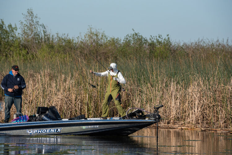 Image for GALLERY: Hustling for bites on the Delta