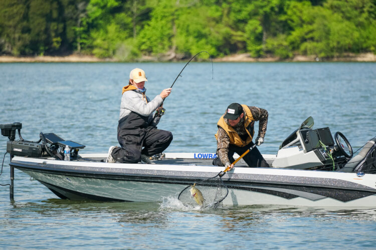 Image for GALLERY: Snatching smallmouth on the final day at Kentucky and Barkley lakes