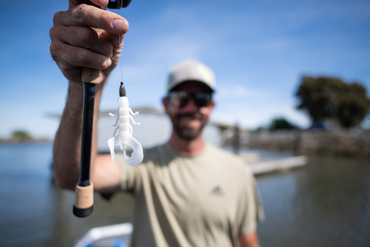 Top 10 baits and patterns from the California Delta - Major League