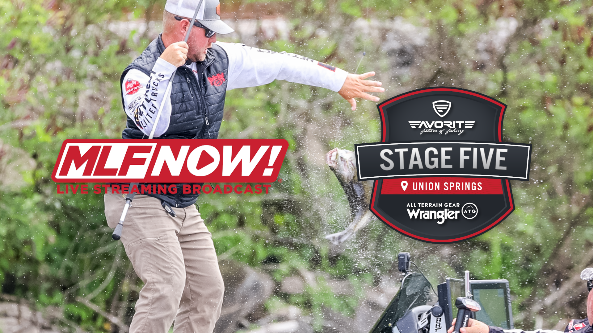 Bass Pro Tour Stage One Championship Round MLF NOW! Live Stream - Feb. 3,  2019 - Major League Fishing